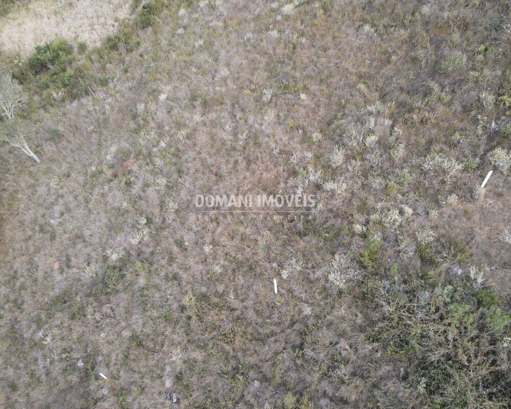 Terreno, 5030 m² - Foto 4