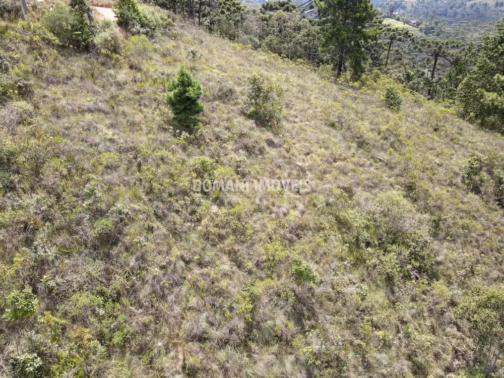 Terreno, 2065 m² - Foto 2