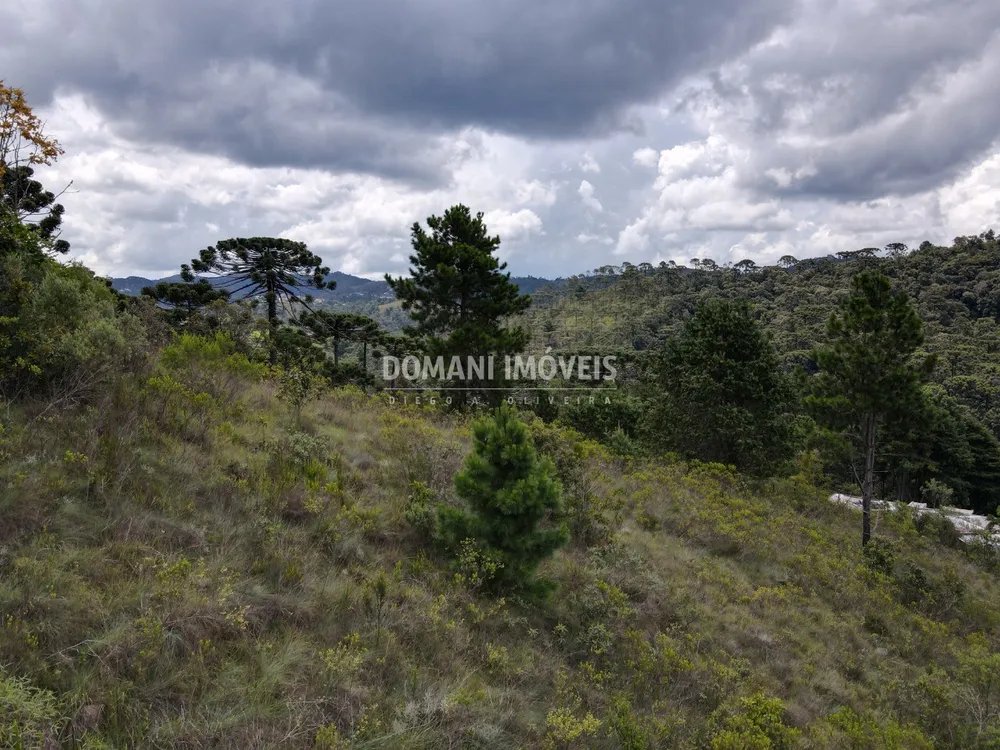 Terreno, 2065 m² - Foto 8