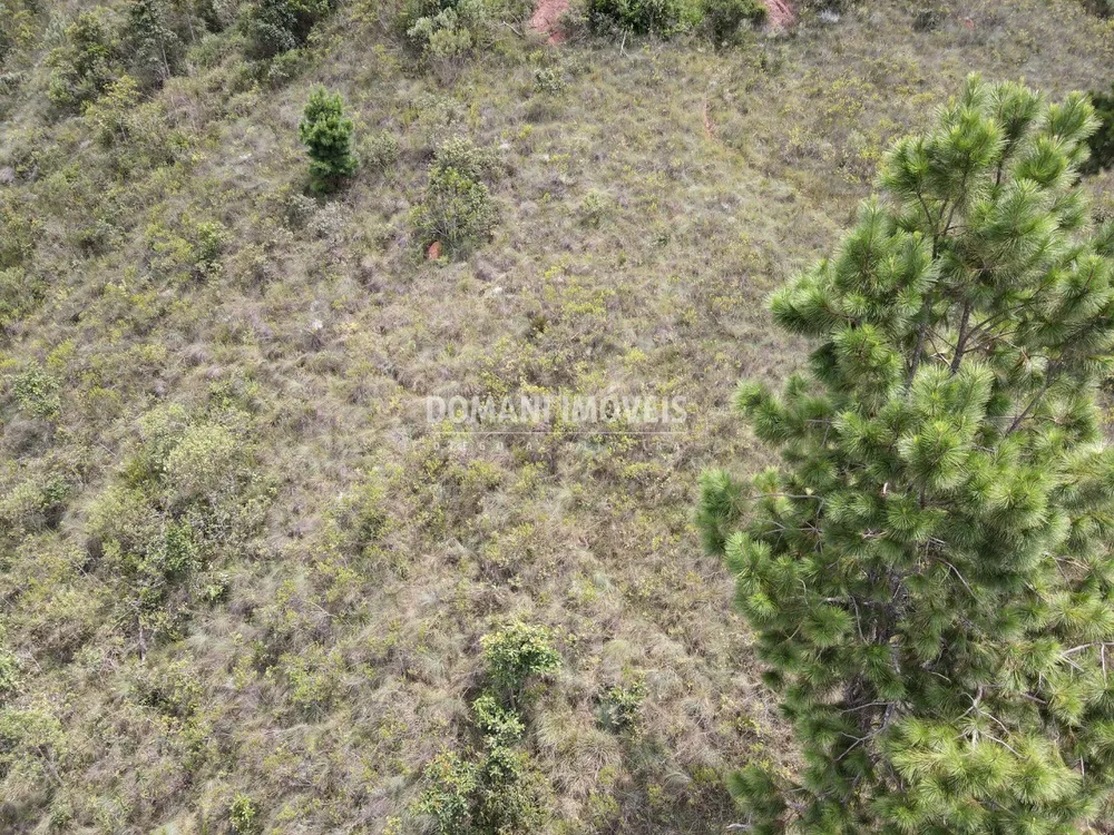 Terreno, 2065 m² - Foto 3