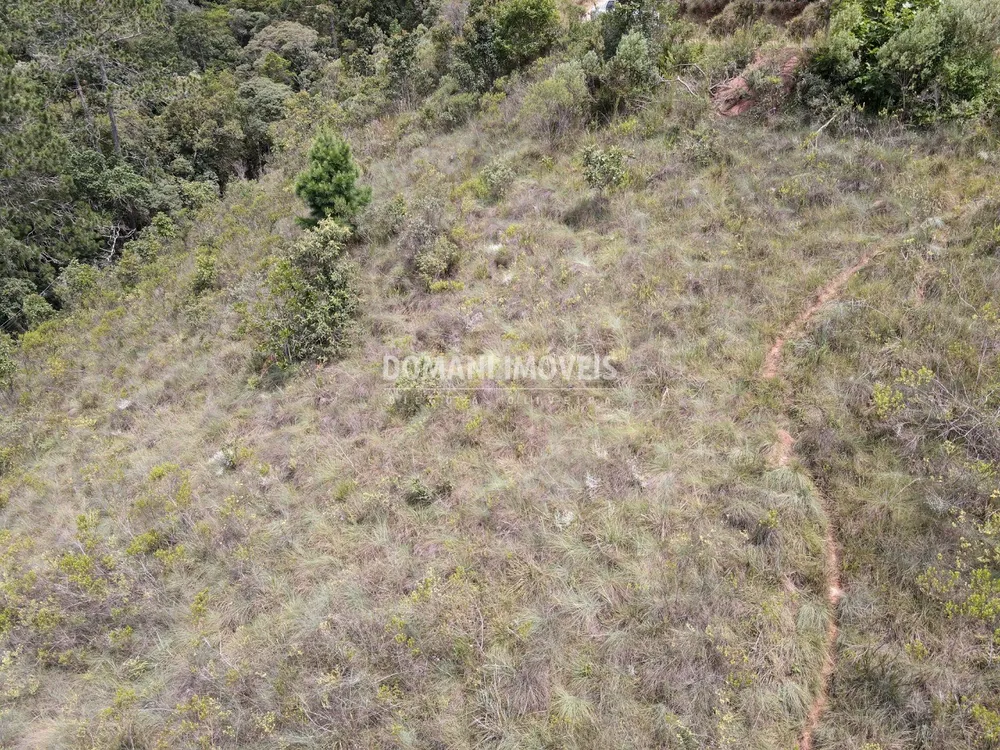 Terreno, 2065 m² - Foto 6