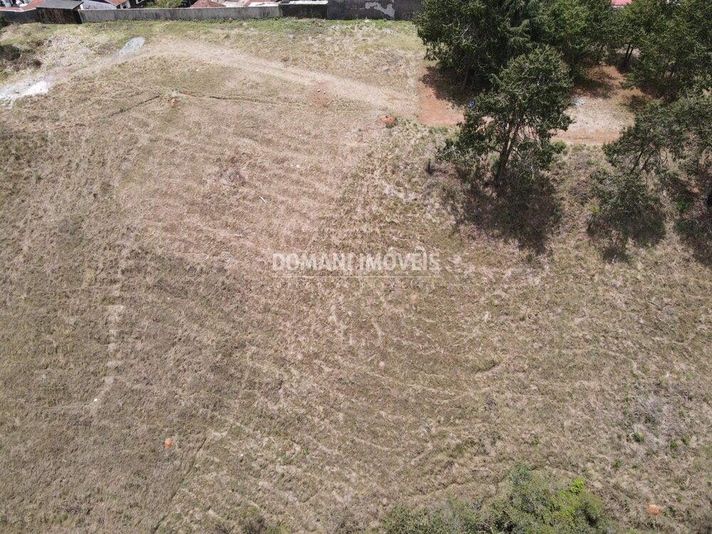 Terreno, 6000 m² - Foto 2