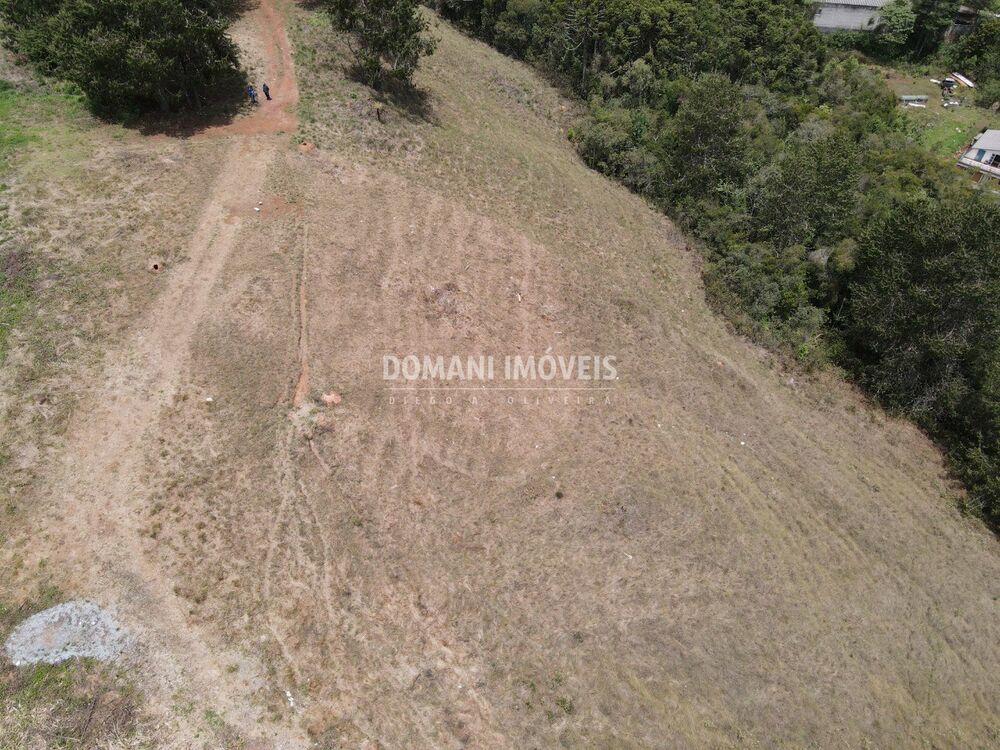 Terreno, 6000 m² - Foto 8