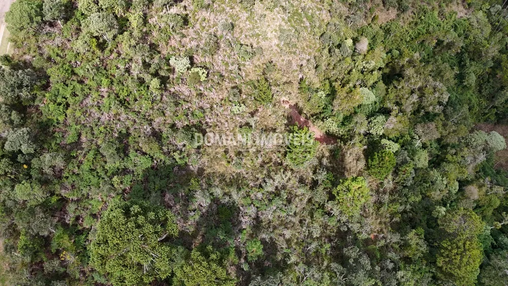 Terreno, 5240 m² - Foto 6