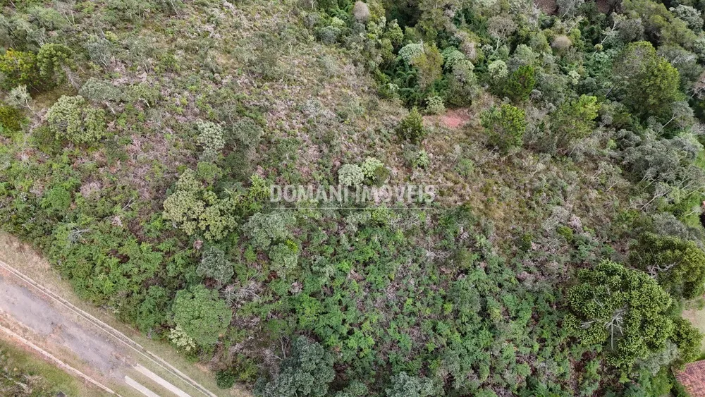 Terreno, 5240 m² - Foto 12