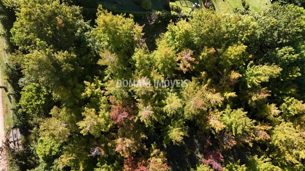 Terreno, 1335 m² - Foto 8