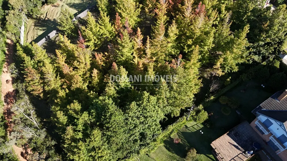 Terreno, 1335 m² - Foto 9