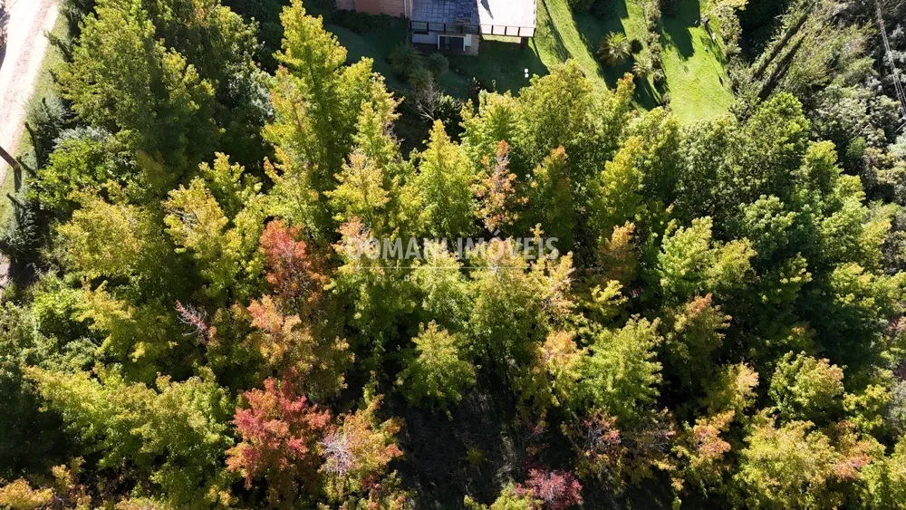 Terreno, 1335 m² - Foto 4