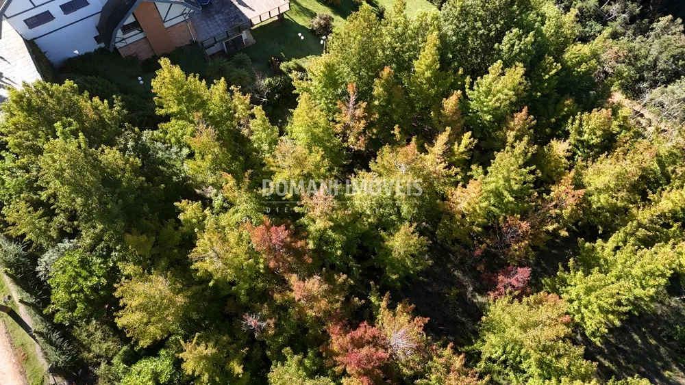 Terreno, 1335 m² - Foto 12