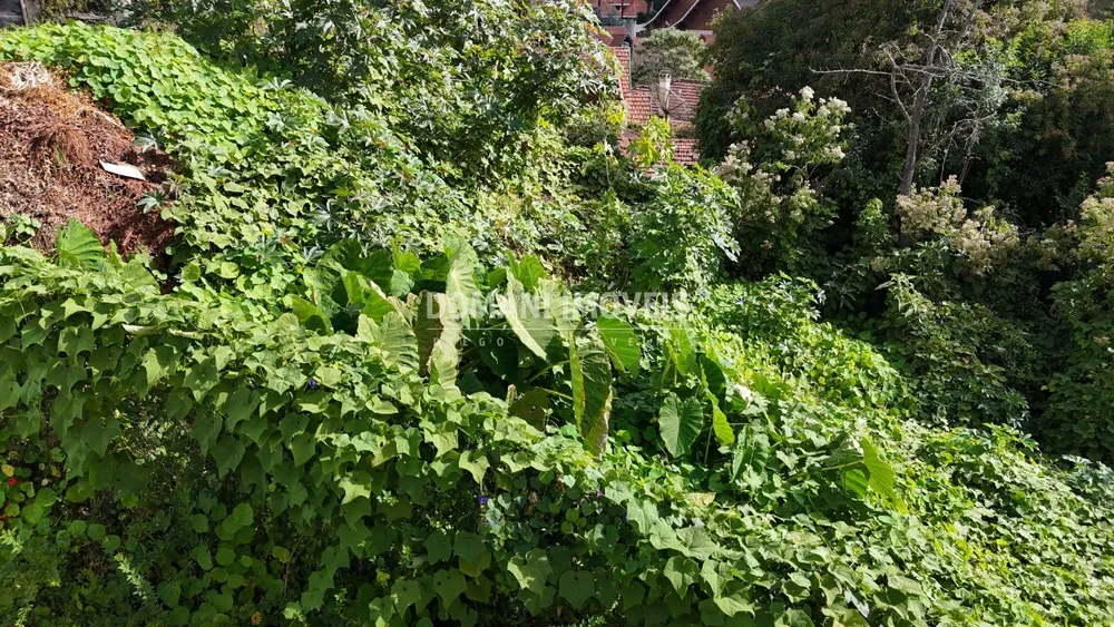 Terreno, 852 m² - Foto 2
