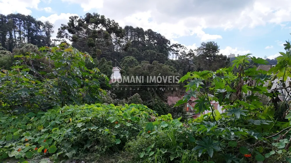 Terreno, 852 m² - Foto 3