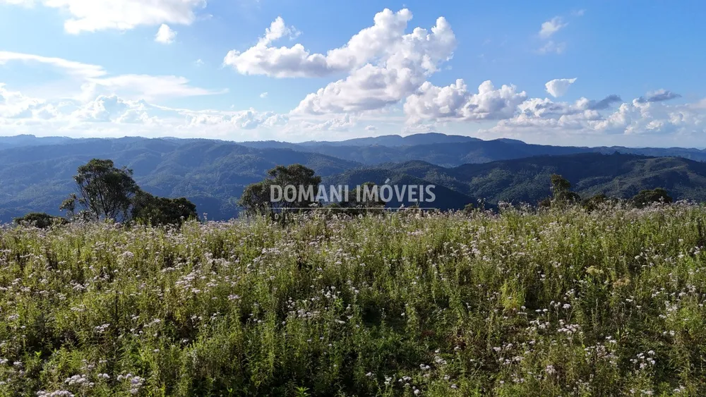 Terreno, 5240 m² - Foto 2