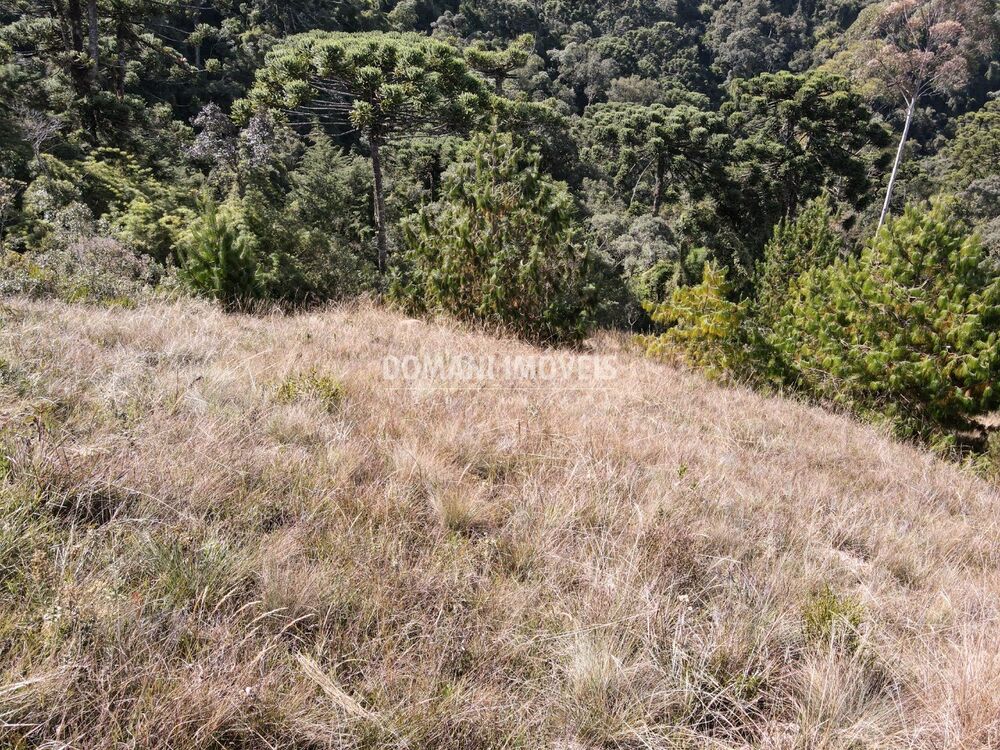 Terreno, 1110 m² - Foto 1