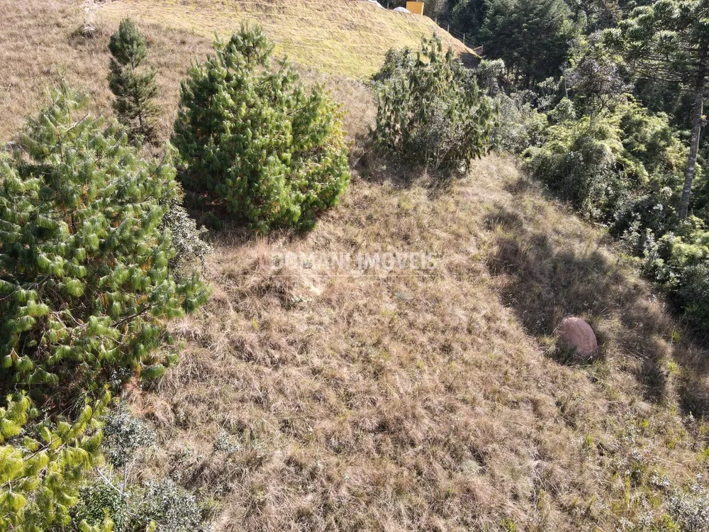 Terreno, 1110 m² - Foto 12