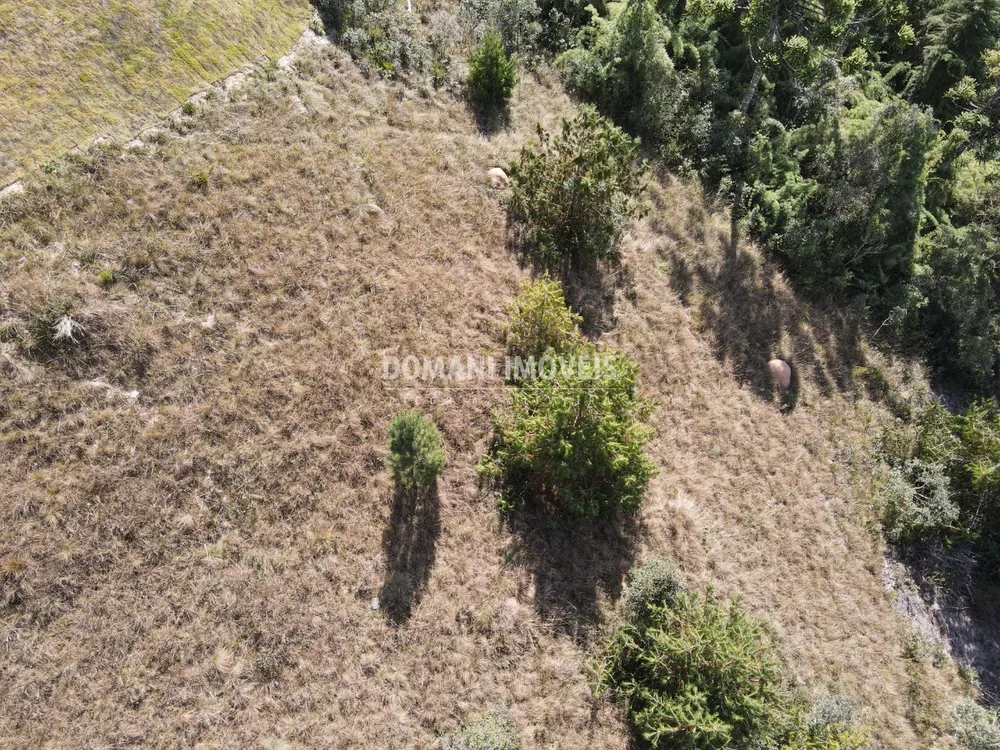 Terreno, 1110 m² - Foto 9