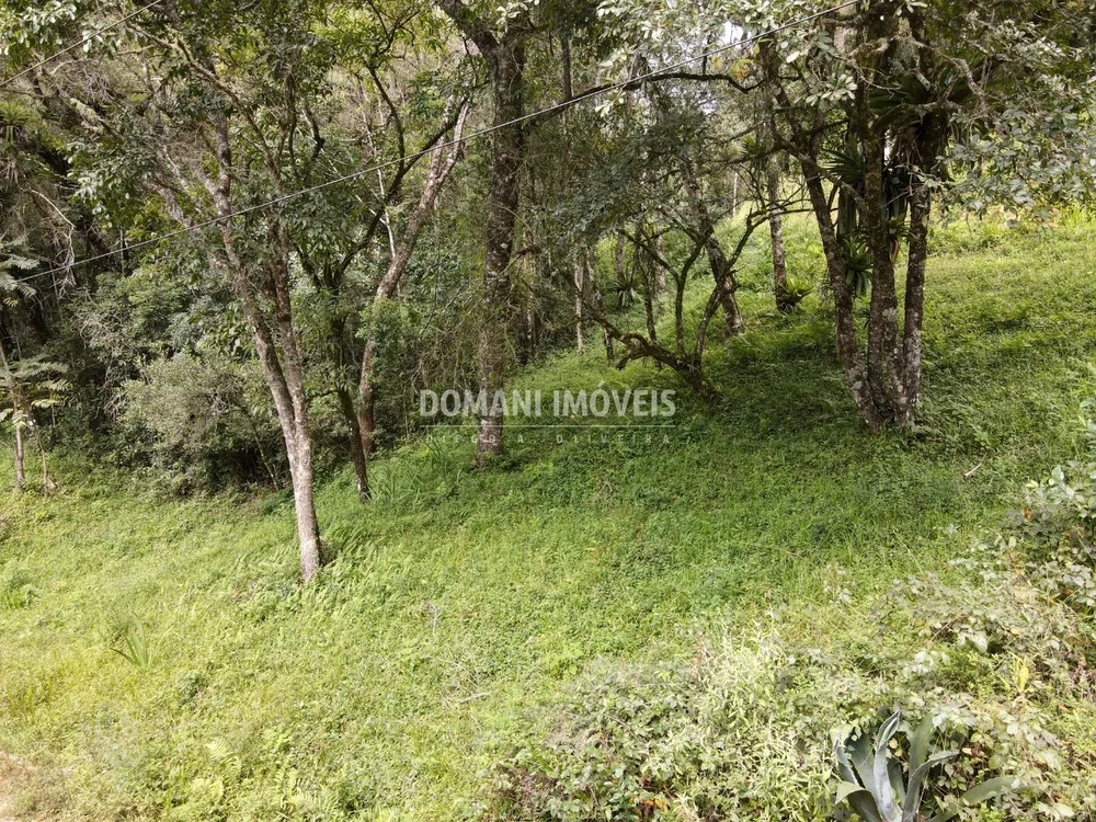 Terreno, 1270 m² - Foto 3