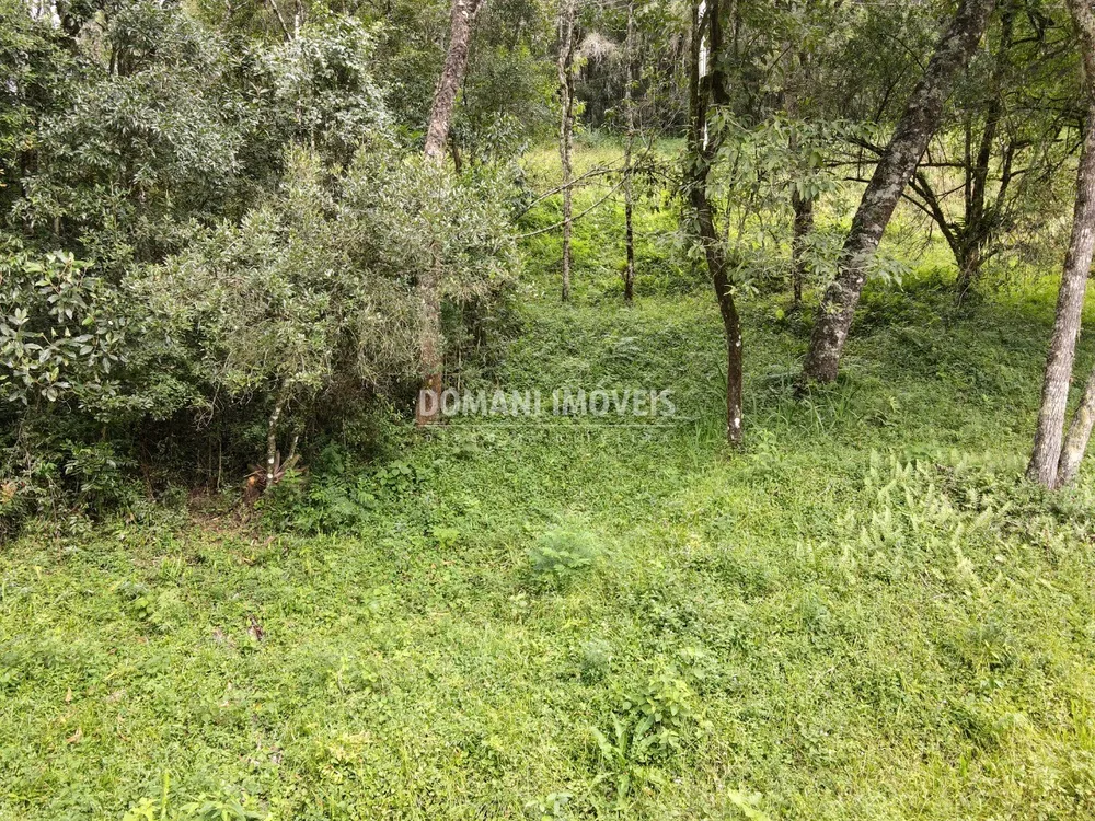 Terreno, 1270 m² - Foto 8