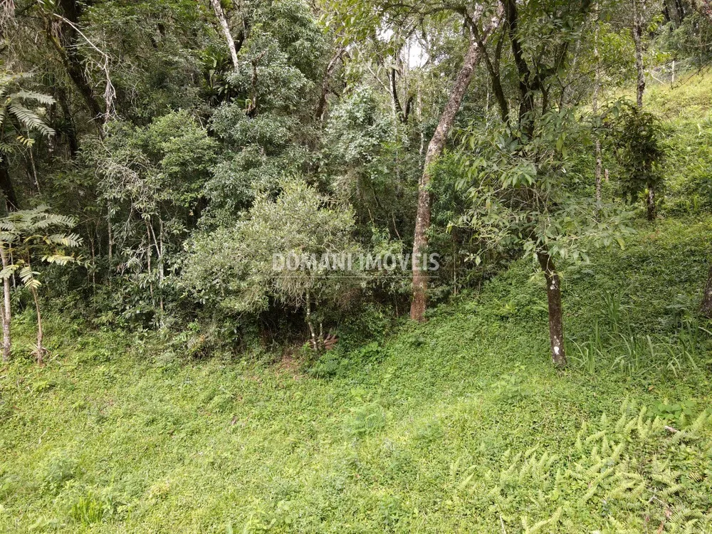Terreno, 1270 m² - Foto 6