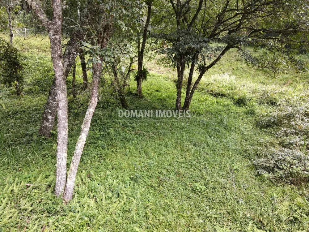 Terreno, 1270 m² - Foto 4