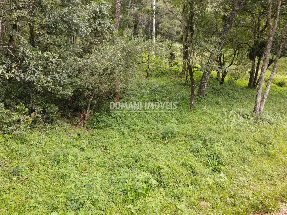 Terreno, 1270 m² - Foto 1