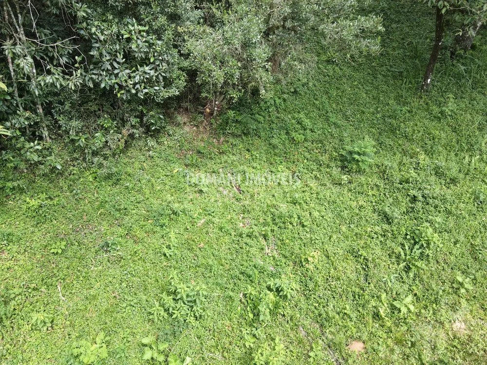 Terreno, 1270 m² - Foto 7
