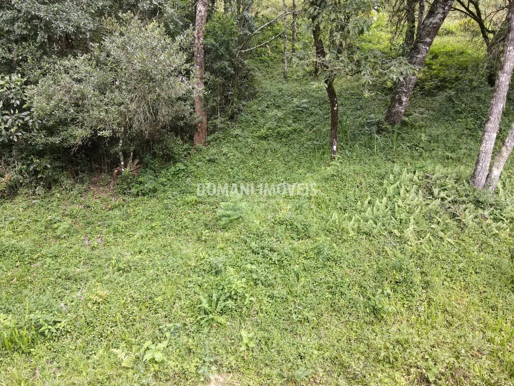 Terreno, 1270 m² - Foto 5