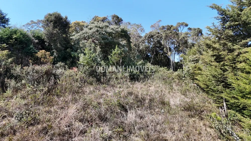 Terreno, 1010 m² - Foto 4