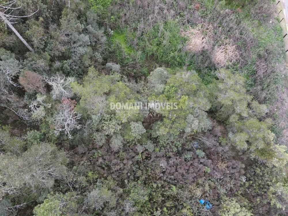 Terreno, 2 hectares - Foto 4
