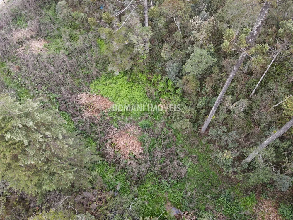 Terreno, 2 hectares - Foto 1