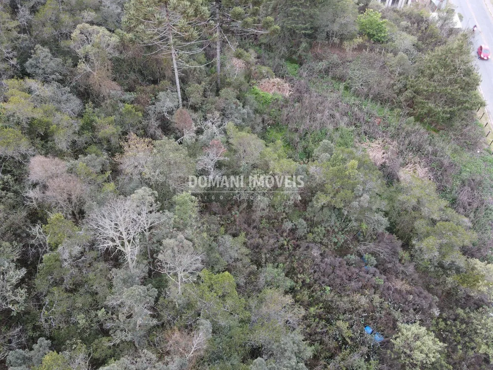 Terreno, 2 hectares - Foto 7