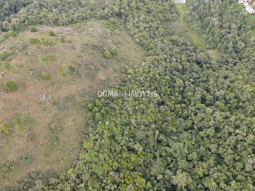 Terreno, 16 hectares - Foto 6