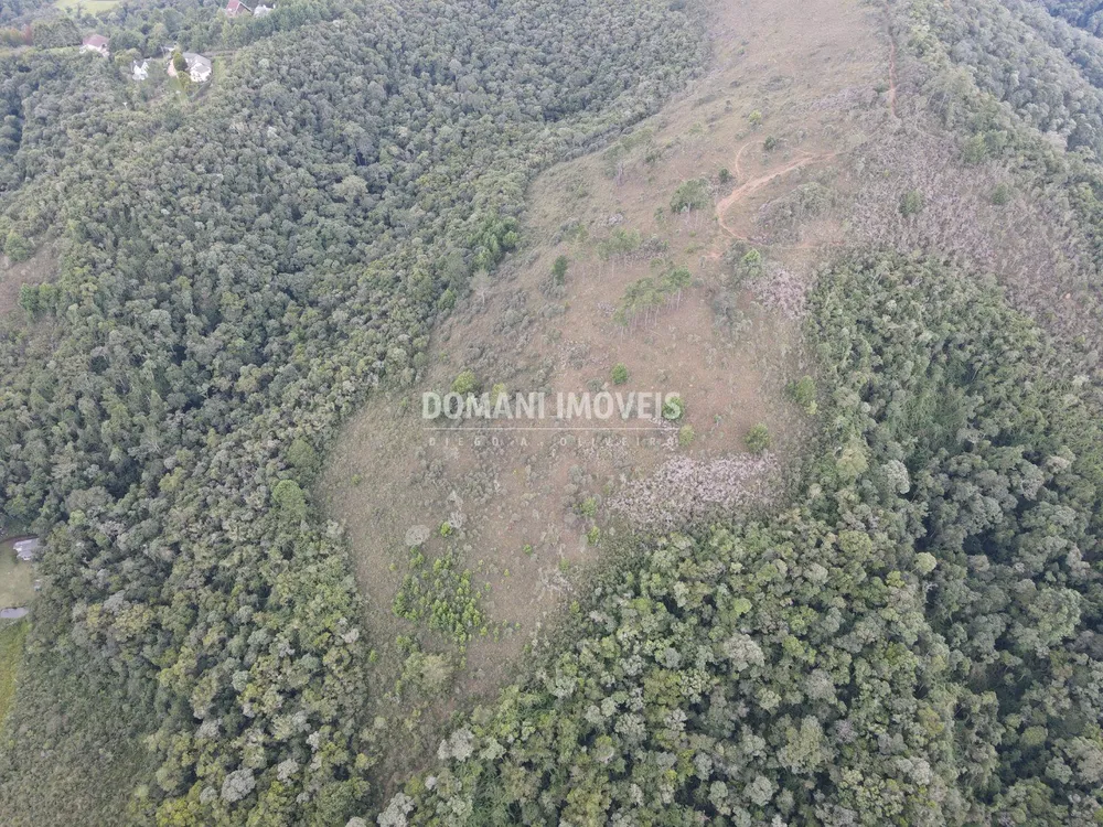 Terreno, 16 hectares - Foto 8