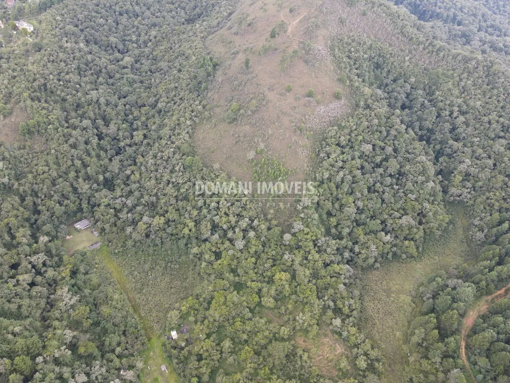 Terreno, 16 hectares - Foto 4