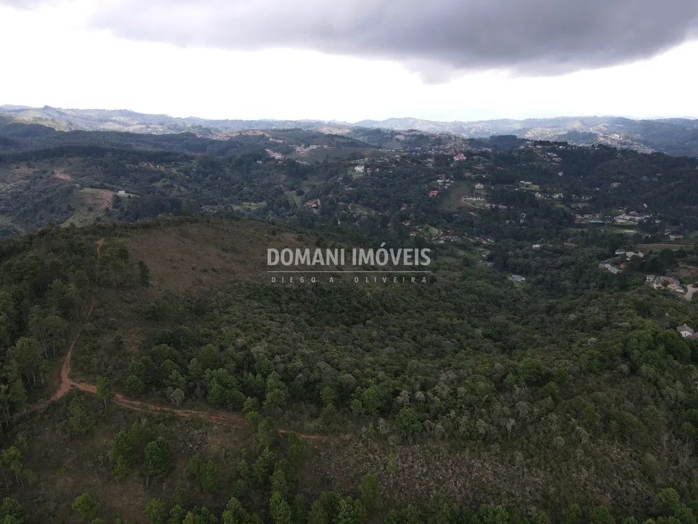 Terreno, 16 hectares - Foto 3