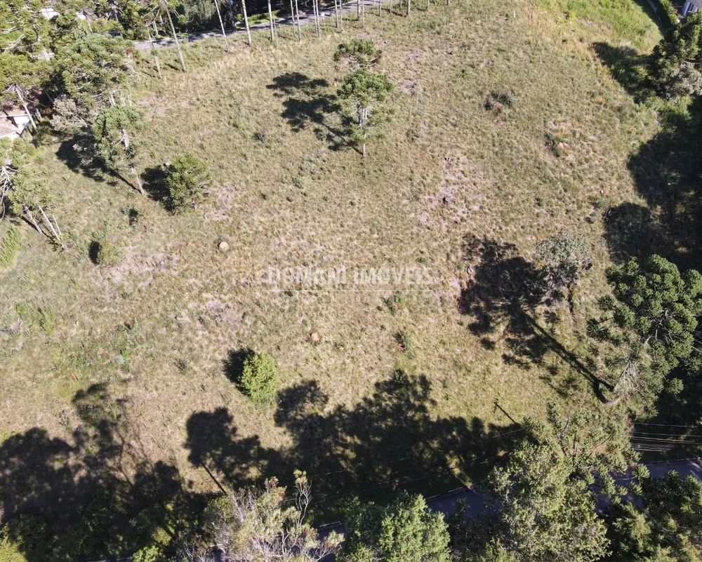 Terreno, 8900 m² - Foto 8