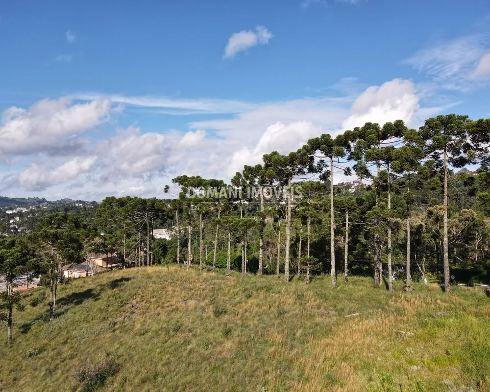 Terreno, 8900 m² - Foto 7