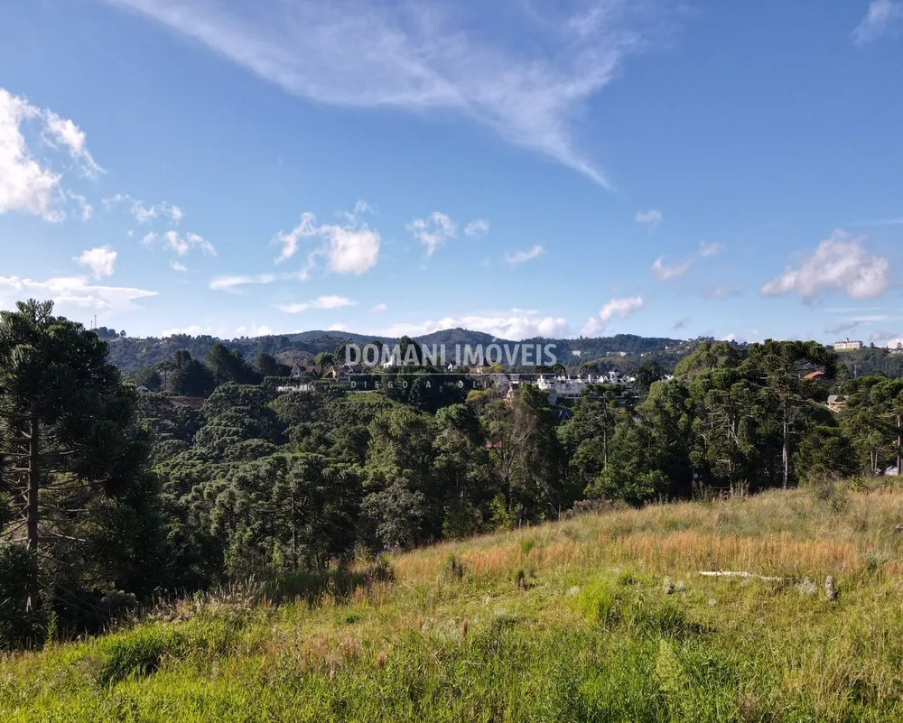 Terreno, 8900 m² - Foto 4