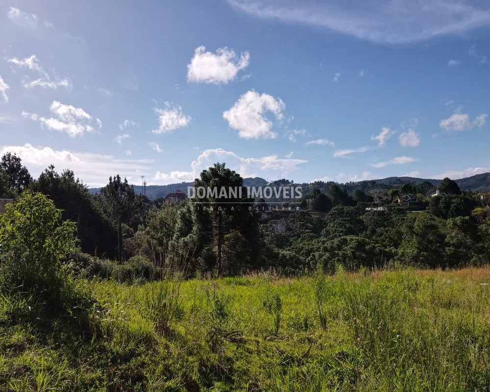 Terreno, 8900 m² - Foto 6