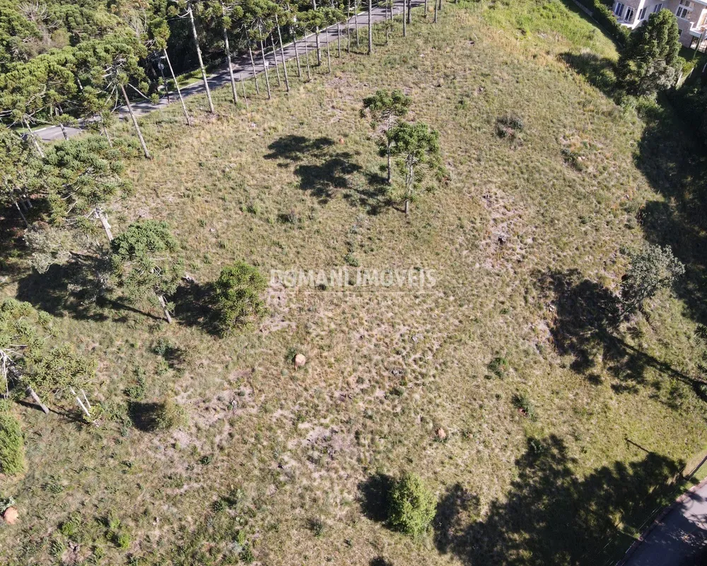 Terreno, 8900 m² - Foto 3