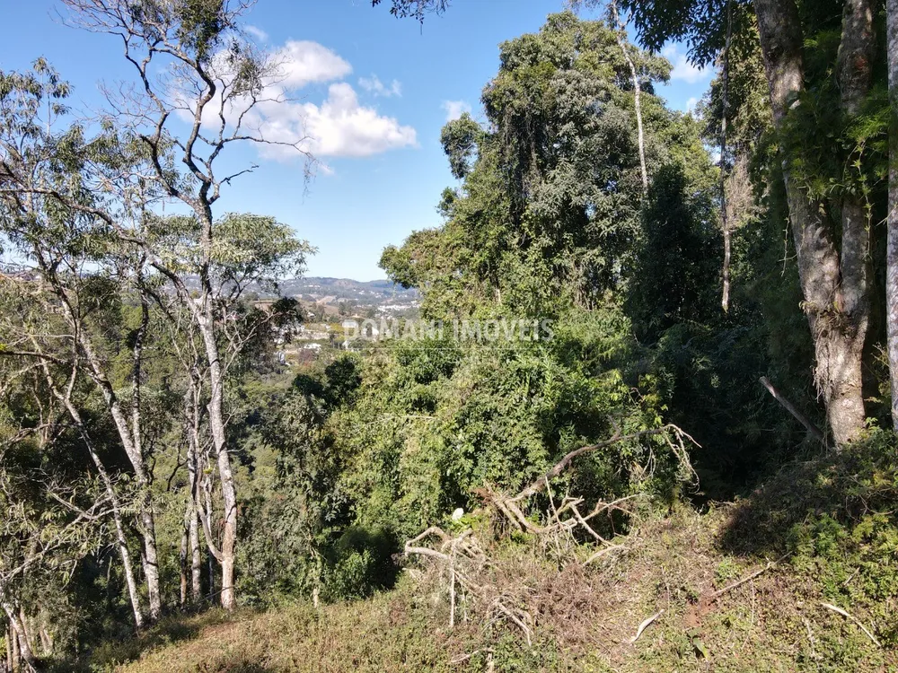 Terreno, 2060 m² - Foto 4