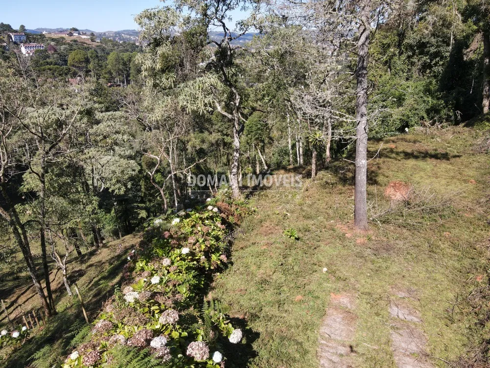 Terreno, 2060 m² - Foto 3
