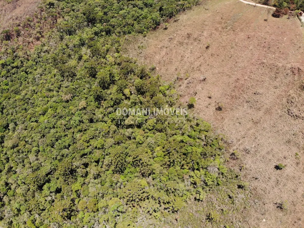 Terreno, 4 hectares - Foto 12