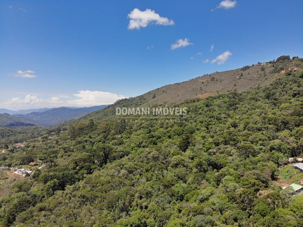 Terreno, 4 hectares - Foto 9