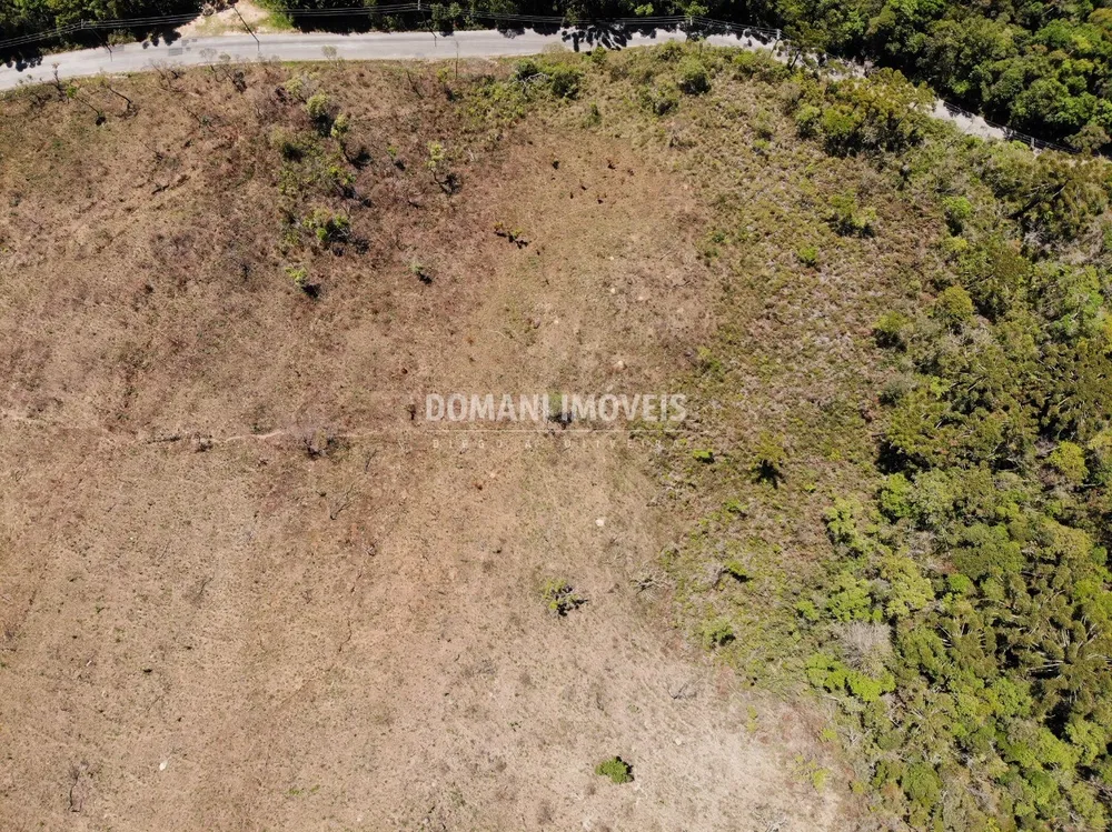 Terreno, 4 hectares - Foto 11