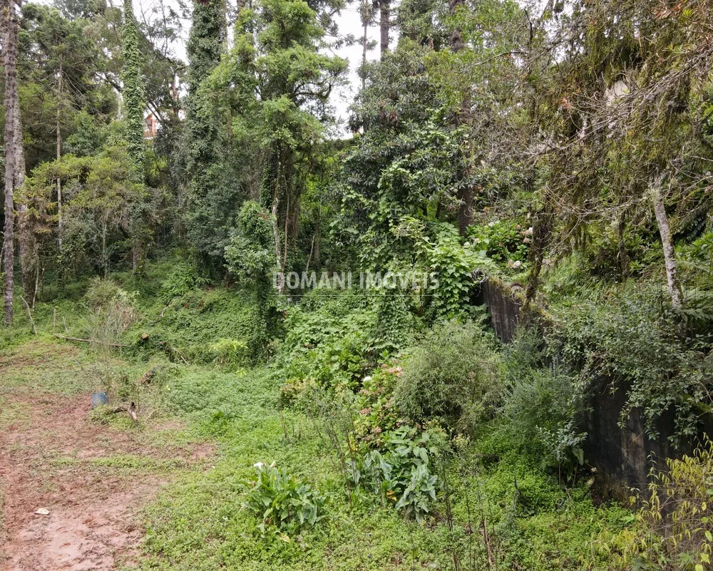 Terreno, 3750 m² - Foto 5