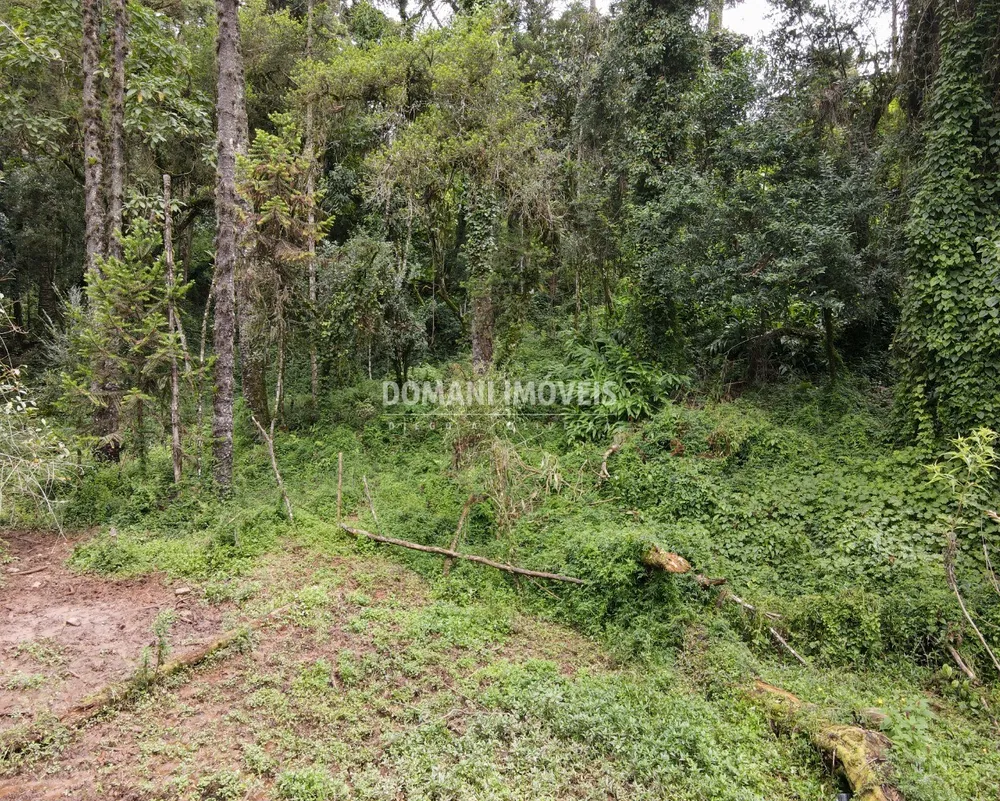 Terreno, 3750 m² - Foto 6