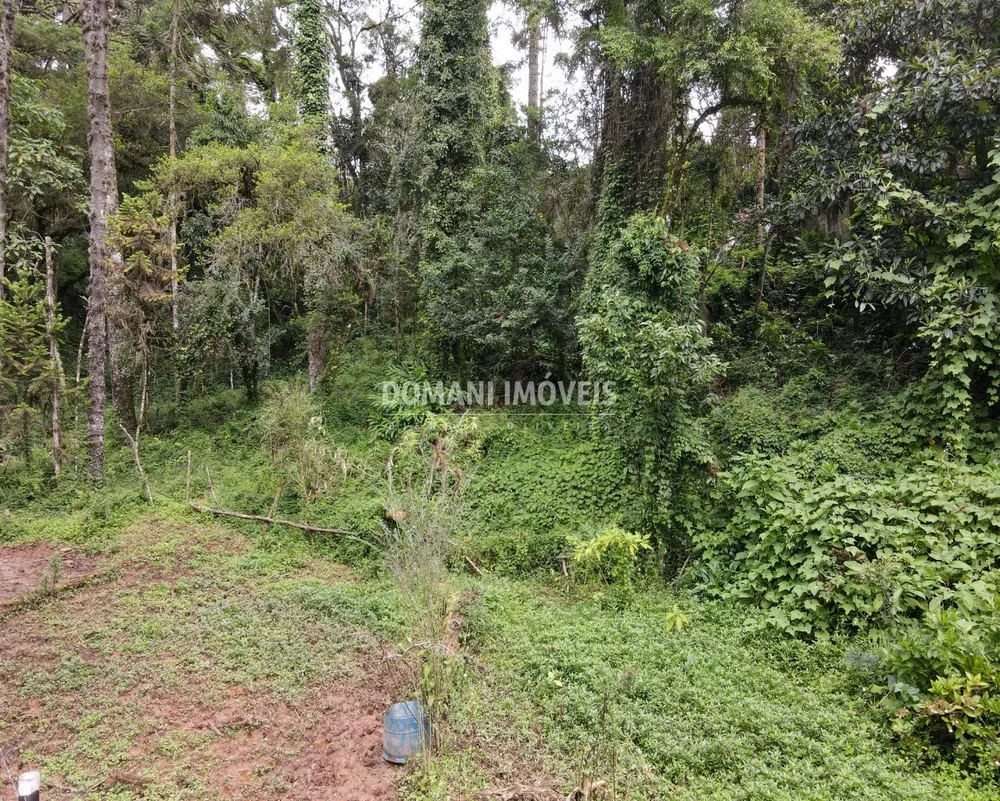 Terreno, 3750 m² - Foto 1