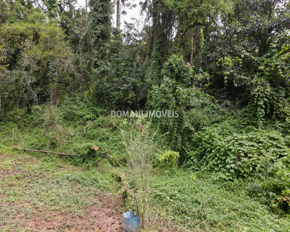 Terreno, 3750 m² - Foto 8