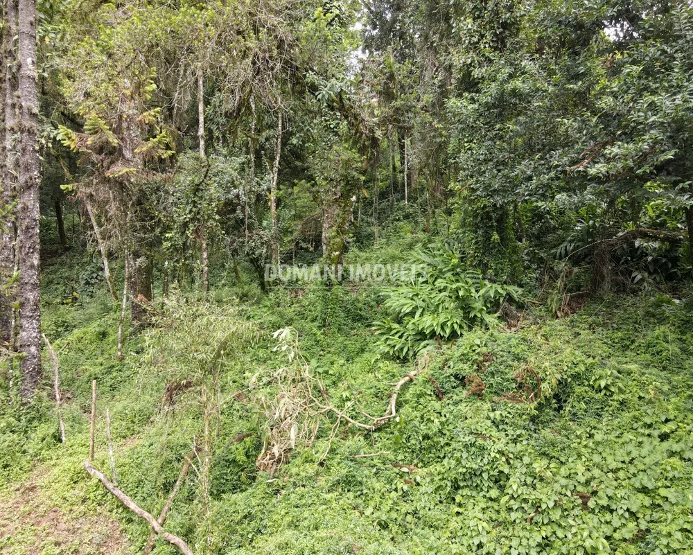 Terreno, 3750 m² - Foto 3
