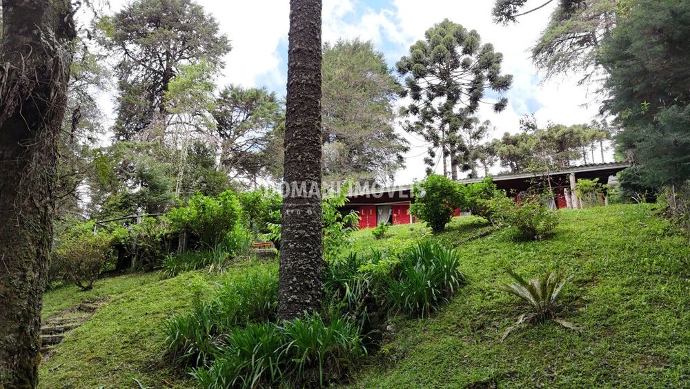 Casa, 3 quartos - Foto 11